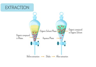 Chemical extraction of organic compound from water solution to organic solvent diagram. clipart