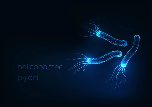 Футуристичні світяться низькі полігональні гелікобактерні клітини пілорі бактерій ізольовані на темно-синьому — стоковий вектор