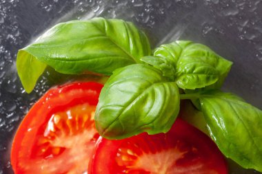 taze domates fesleğen ile