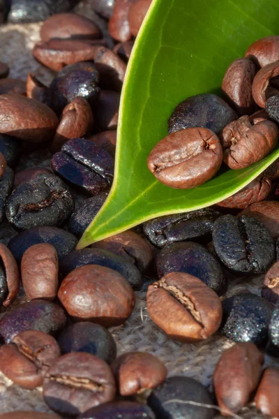 Ziarna kawy czarny i brązowy — Zdjęcie stockowe