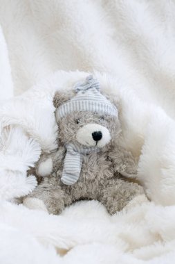 Sevgi ve Hediyelik Oyuncak ayı