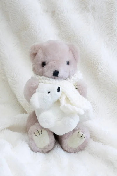 Teddy Beruang Dengan Cinta Dan Hadiah — Stok Foto
