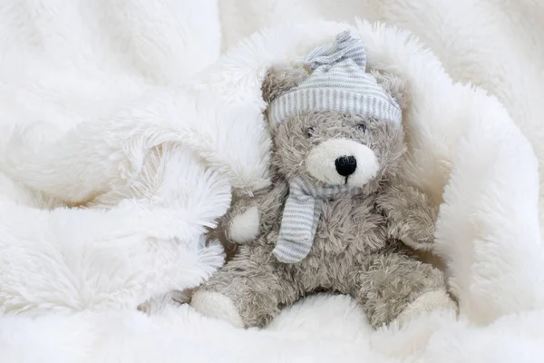 Teddybär Mit Liebe Und Geschenk — Stockfoto