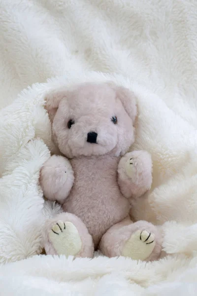 Teddybär Mit Liebe Und Geschenk — Stockfoto