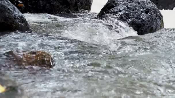 Raging Limpo Rio Montanha Fresco Que Flui Entre Rochas Câmera — Vídeo de Stock