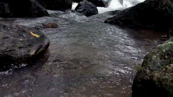 Raging clean fresh mountain river flowing between rocks in slow motion. Taken outdoor on cloudy day. — Stock Footage Raging Clean Fresh Mountain River Flowing Rocks Slow Motion Taken Stock Video