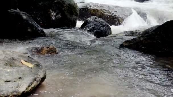 Raging Clean Fresh Mountain River Flowing Rocks Slow Motion Taken — Stock Video