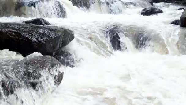 Raging Limpo Rio Montanha Fresco Que Flui Entre Rochas Câmera — Vídeo de Stock