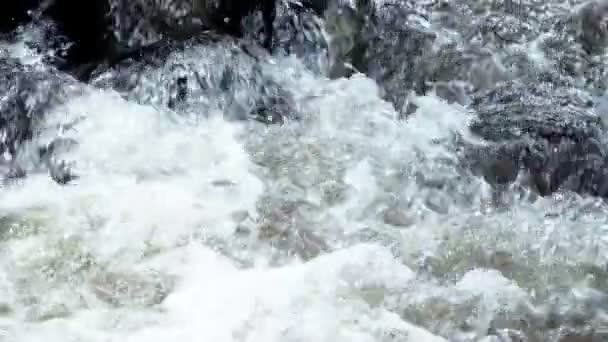 Καθαρό Καθαρό Βουνίσιο Ορμητικό Ποτάμι Που Ρέει Ανάμεσα Βράχους Αργή — Αρχείο Βίντεο