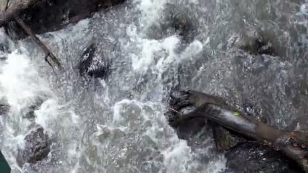 Raging Clean Fresh Mountain River Flowing Rocks Slow Motion Taken — Stock Video