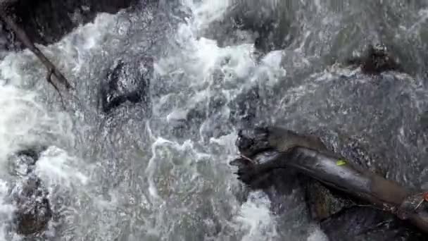 Raging Pulito Fiume Montagna Fresca Che Scorre Tra Rocce Rallentatore — Video Stock