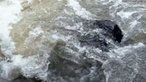 Ağır Çekimde Kayalar Arasında Akan Temiz Dağ Nehir Azgın Bulutlu — Stok video