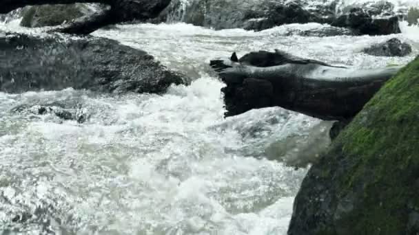 Порушення Чистої Свіжої Гірської Річки Тече Між Скелями Повільному Русі — стокове відео