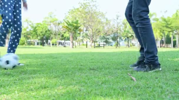 Familie Beim Fußballspielen Park Nachmittag Deutscher Weißer Mann Und Junge — Stockvideo