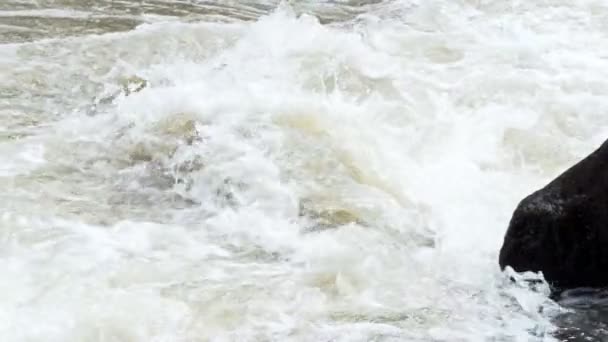 Raging Clean Fresh Mountain River Flowing Rocks Slow Motion Taken — Stock Video