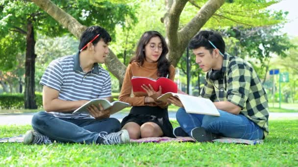 Students Park Study Together Chinese Male Female Teenagers Sitting Together — Stock Video