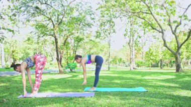Kadın parkta Yoga öğretir. Yoga yapmak ve halka açık parkta dinlenmek.