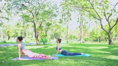 Kadın parkta Yoga öğretir. Yoga yapmak ve halka açık parkta dinlenmek.