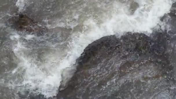 Rivière Montagne Fraîche Propre Qui Coule Entre Les Rochers Ralenti — Video