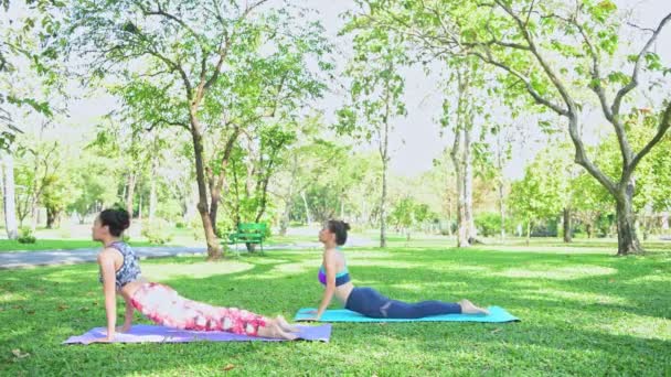 Žena Učí Jóju Parku Cvičení Jóby Relaxace Veřejném Parku — Stock video