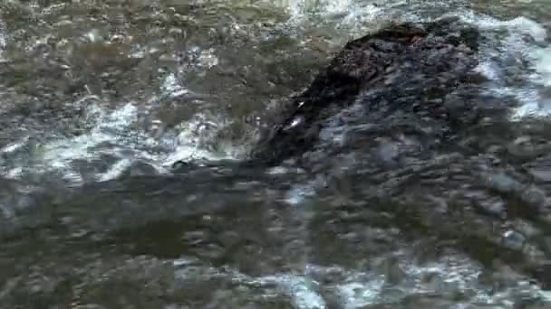Rivière de montagne fraîche et propre qui coule entre les rochers au ralenti. Pris en plein air par temps nuageux .