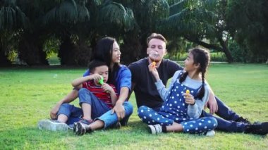 Aile parkta kabarcık üfleme. Beyaz adam, Çinli kadın ve çocukları ile karışık yarış ailesi. Park içinde çim birlikte eğlenmek birlikte oturmak.