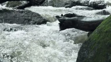 Ağır çekimde kayalar arasında akan temiz dağ nehir azgın. Bulutlu gün açık alınan.