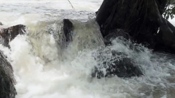 Raging Limpio Río Montaña Fresca Que Fluye Entre Las Rocas — Vídeos de Stock