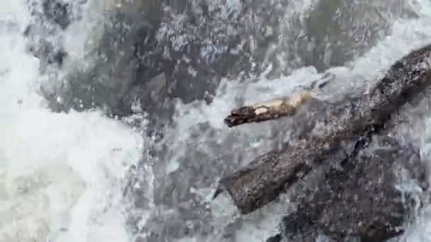 Raging Limpio Río Montaña Fresca Que Fluye Entre Las Rocas — Vídeos de Stock