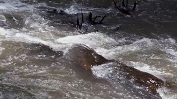 Raging Limpio Río Montaña Fresca Que Fluye Entre Las Rocas — Vídeos de Stock