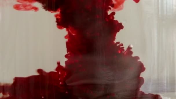 血とガラスの瓶を水中落下赤インクのスローモーションを閉じる — ストック動画