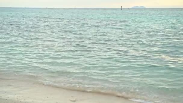 매력적인 비치에 해변에서 초반에 남자와 혼합된 경주입니다 슬로우 모션에서 — 비디오