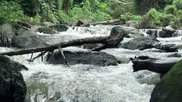 Raging Limpio Río Montaña Fresca Que Fluye Entre Las Rocas — Vídeos de Stock