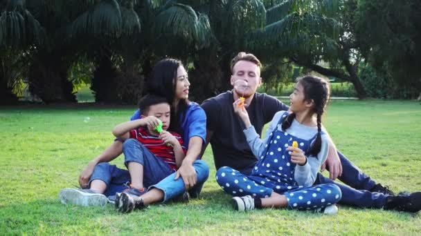 Famiglia Che Soffia Bolla Nel Parco Famiglia Mista Con Uomo — Video Stock