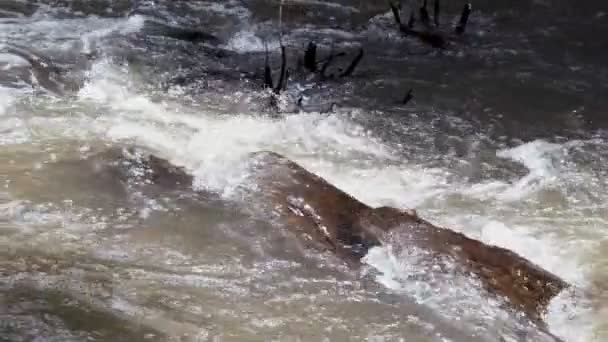 Raging Limpio Río Montaña Fresca Que Fluye Entre Las Rocas — Vídeos de Stock