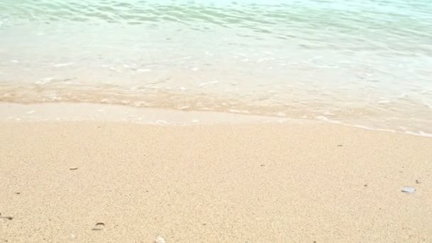 Кристально Чистая Морская Вода Пляже Замедленной Съемке — стоковое видео