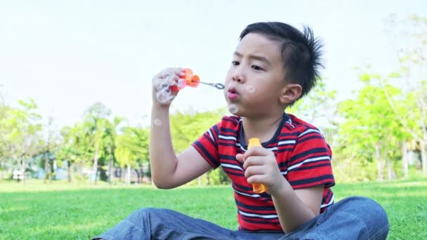 公園で泡を吹く若い男の子 アジアの少年は公園で彼のバブルの混合物で遊んで楽しんで — ストック動画