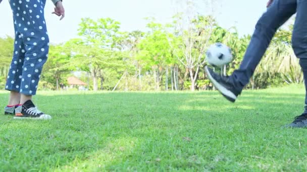 Familie Beim Fußballspielen Park Nachmittag Deutscher Weißer Mann Und Junge — Stockvideo