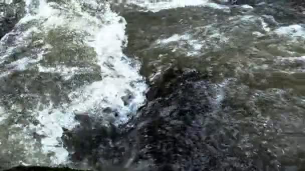 Raging Pulito Fiume Montagna Fresca Che Scorre Tra Rocce Rallentatore — Video Stock