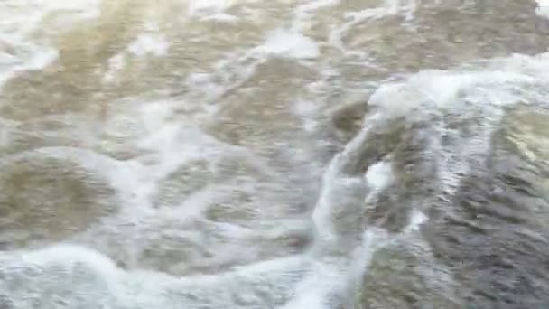 Raging Limpio Río Montaña Fresca Que Fluye Entre Las Rocas — Vídeos de Stock