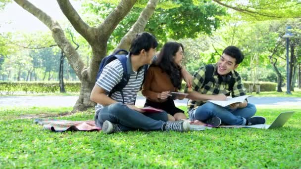 Studenter Parken Studera Tillsammans Kinesiska Manliga Och Kvinnliga Tonåringar Sitter — Stockvideo