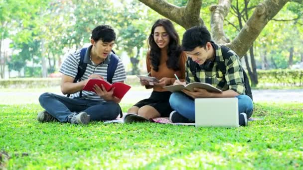 Studenten Het Park Samen Studeren Chinese Mannelijke Vrouwelijke Tieners Zitten — Stockvideo