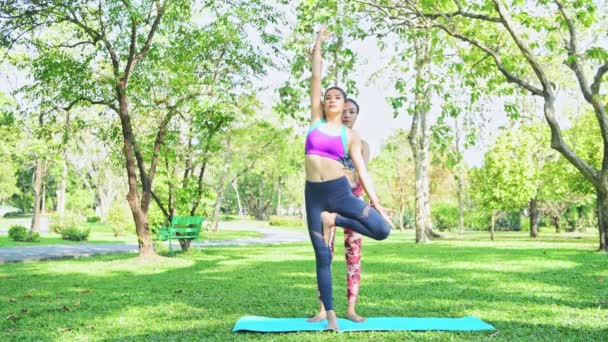 Kadın Parkta Yoga Öğretir Yoga Yapmak Halka Açık Parkta Dinlenmek — Stok video