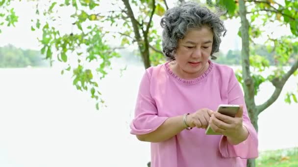 Üst Düzey Kadın Telefonunu Parkta Kullanmak Için Tyring Park Ayakta — Stok video