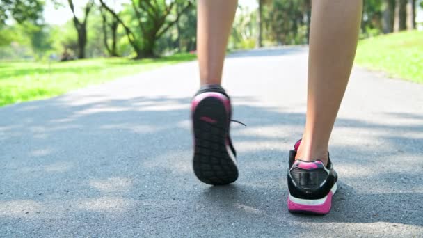 Mujer Prepara Para Correr Parque Calentando Tobillo Empezar Correr Disparo — Vídeo de stock