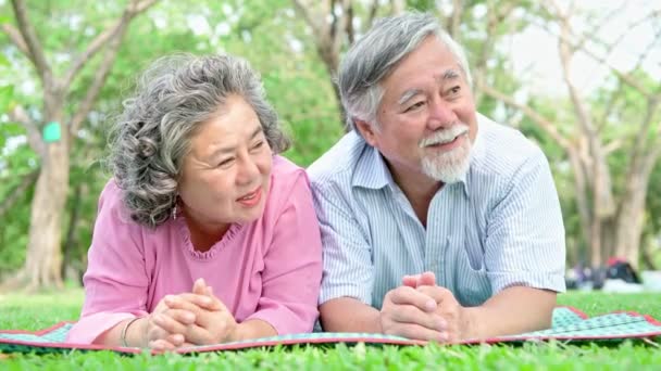 Pareja Mayor Parque Pareja Ancianos Chinos Parque Relajándose Sonriendo Hablando — Vídeo de stock