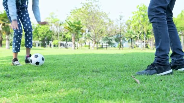 Rodina Hraje Fotbal Parku Odpoledne Německý Běloch Mladá Asijská Dívka — Stock video