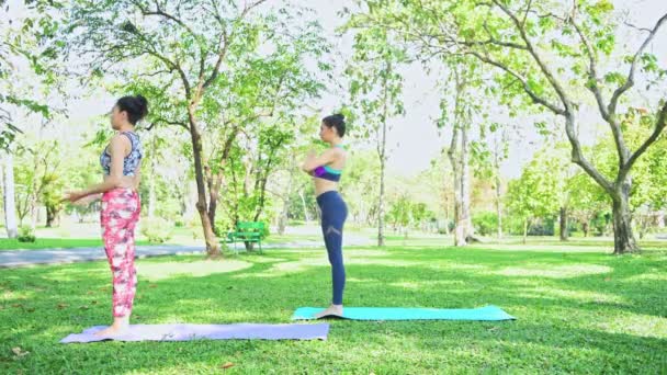 Femme Enseigne Yoga Dans Parc Pratiquer Yoga Détendre Sur Parc — Video