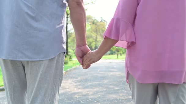 Pareja Mayor Parque Pareja Ancianos Chinos Parque Pie Cada Lado — Vídeos de Stock