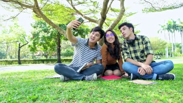 Alunos Parque Estudar Juntos Chinês Masculino Feminino Adolescentes Sentados Juntos — Vídeo de Stock